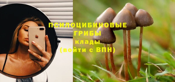 spice Заводоуковск