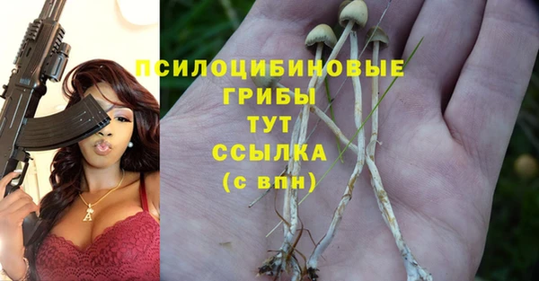 mdpv Заволжск