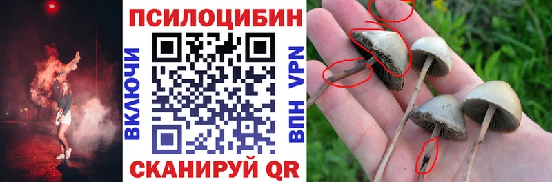 Псилоцибиновые грибы GOLDEN TEACHER  сайты даркнета как зайти  Калач-на-Дону 